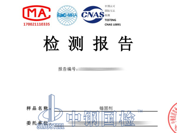 錨固劑檢測報告