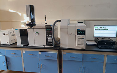 氣相色譜質譜聯用儀